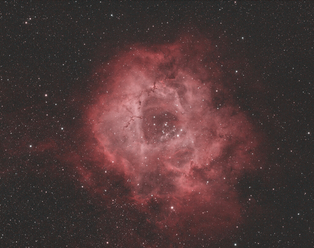 Olly's Rosette Nebula